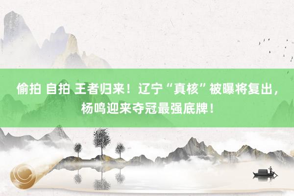 偷拍 自拍 王者归来！辽宁“真核”被曝将复出，杨鸣迎来夺冠最强底牌！