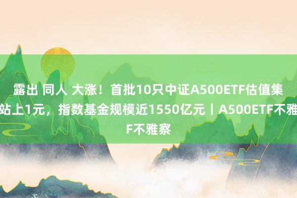 露出 同人 大涨！首批10只中证A500ETF估值集体站上1元，指数基金规模近1550亿元丨A500ETF不雅察