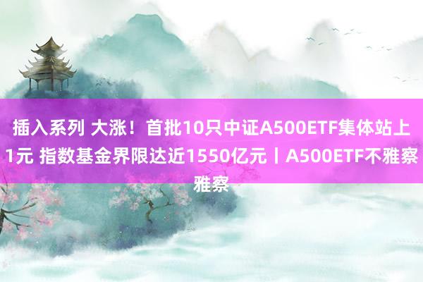 插入系列 大涨！首批10只中证A500ETF集体站上1元 指数基金界限达近1550亿元丨A500ETF不雅察