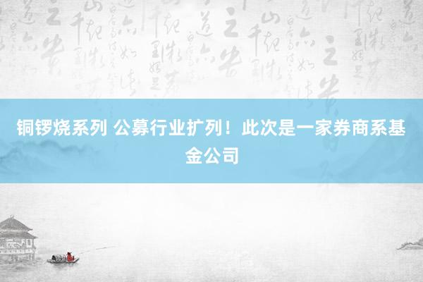 铜锣烧系列 公募行业扩列！此次是一家券商系基金公司