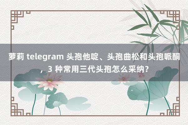 萝莉 telegram 头孢他啶、头孢曲松和头孢哌酮，3 种常用三代头孢怎么采纳？