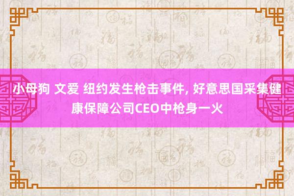 小母狗 文爱 纽约发生枪击事件， 好意思国采集健康保障公司CEO中枪身一火