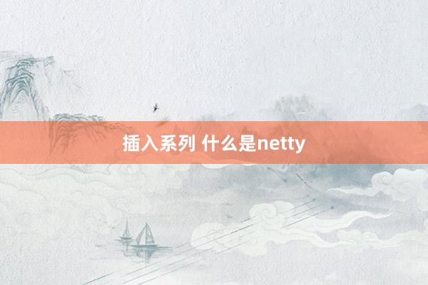 插入系列 什么是netty