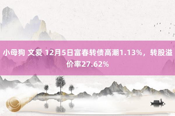 小母狗 文爱 12月5日富春转债高潮1.13%，转股溢价率27.62%