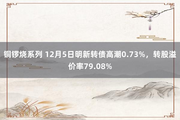 铜锣烧系列 12月5日明新转债高潮0.73%，转股溢价率79.08%