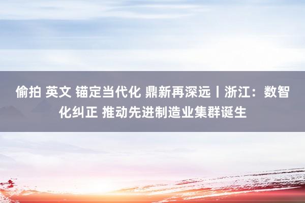 偷拍 英文 锚定当代化 鼎新再深远丨浙江：数智化纠正 推动先进制造业集群诞生