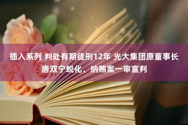 插入系列 判处有期徒刑12年 光大集团原董事长唐双宁蜕化、纳贿案一审宣判