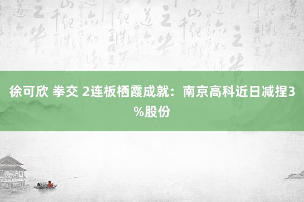 徐可欣 拳交 2连板栖霞成就：南京高科近日减捏3%股份