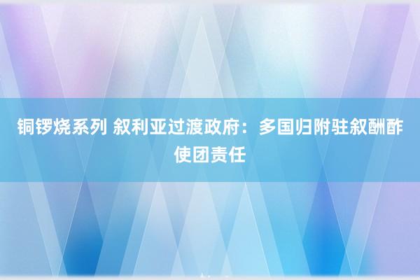 铜锣烧系列 叙利亚过渡政府：多国归附驻叙酬酢使团责任