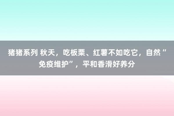 猪猪系列 秋天，吃板栗、红薯不如吃它，自然“免疫维护”，平和香滑好养分