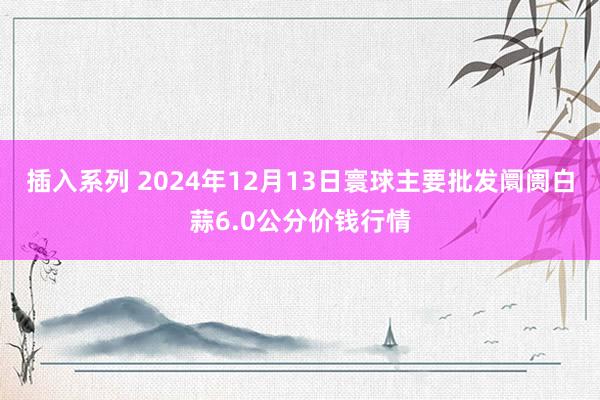 插入系列 2024年12月13日寰球主要批发阛阓白蒜6.0公分价钱行情