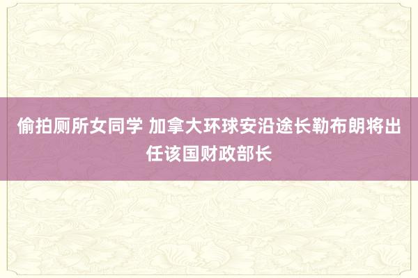 偷拍厕所女同学 加拿大环球安沿途长勒布朗将出任该国财政部长