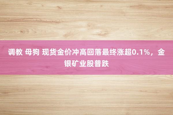 调教 母狗 现货金价冲高回落最终涨超0.1%，金银矿业股普跌