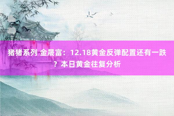 猪猪系列 金晟富：12.18黄金反弹配置还有一跌？本日黄金往复分析