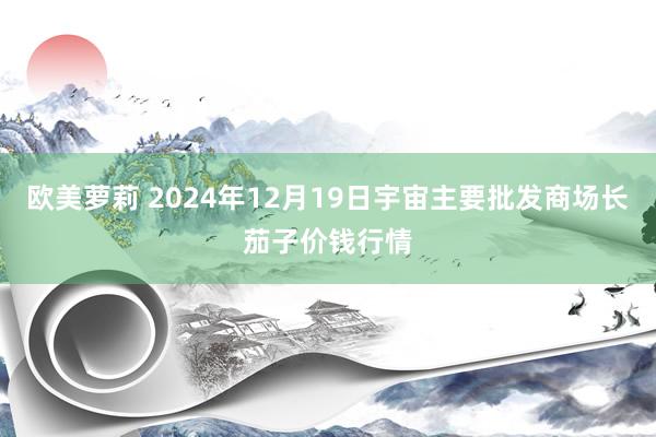 欧美萝莉 2024年12月19日宇宙主要批发商场长茄子价钱行情