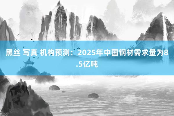 黑丝 写真 机构预测：2025年中国钢材需求量为8.5亿吨