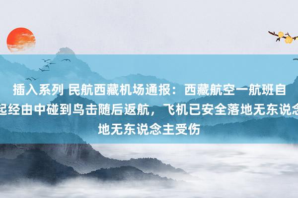 插入系列 民航西藏机场通报：西藏航空一航班自拉萨升起经由中碰到鸟击随后返航，飞机已安全落地无东说念主受伤