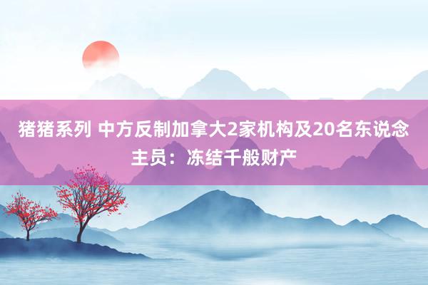 猪猪系列 中方反制加拿大2家机构及20名东说念主员：冻结千般财产