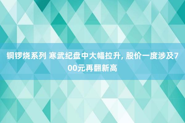 铜锣烧系列 寒武纪盘中大幅拉升， 股价一度涉及700元再翻新高