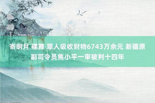 寄明月 裸舞 罪人吸收财物6743万余元 新疆原副司令员焦小平一审被判十四年