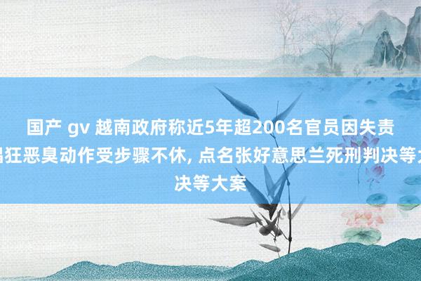 国产 gv 越南政府称近5年超200名官员因失责、猖狂恶臭动作受步骤不休， 点名张好意思兰死刑判决等大案