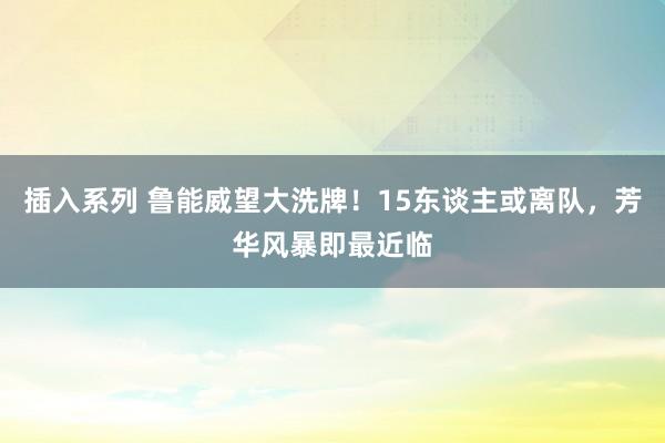 插入系列 鲁能威望大洗牌！15东谈主或离队，芳华风暴即最近临