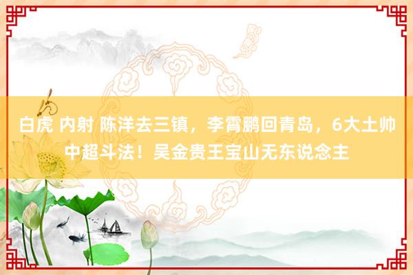 白虎 内射 陈洋去三镇，李霄鹏回青岛，6大土帅中超斗法！吴金贵王宝山无东说念主