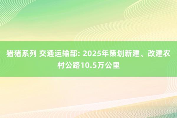 猪猪系列 交通运输部: 2025年策划新建、改建农村公路10.5万公里