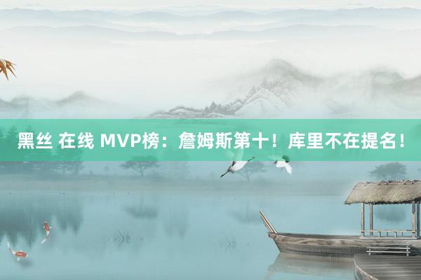 黑丝 在线 MVP榜：詹姆斯第十！库里不在提名！