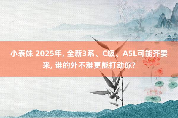 小表妹 2025年， 全新3系、C级、A5L可能齐要来， 谁的外不雅更能打动你?