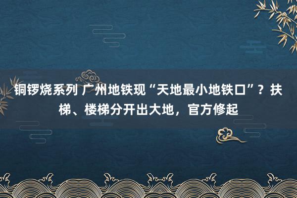 铜锣烧系列 广州地铁现“天地最小地铁口”？扶梯、楼梯分开出大地，官方修起