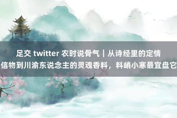 足交 twitter 农时说骨气｜从诗经里的定情信物到川渝东说念主的灵魂香料，料峭小寒最宜盘它