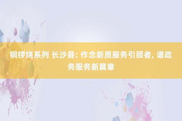 铜锣烧系列 长沙县: 作念新质服务引颈者， 谱政务服务新篇章