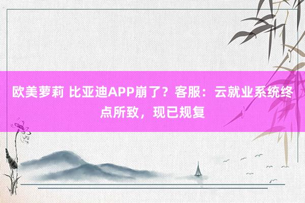 欧美萝莉 比亚迪APP崩了？客服：云就业系统终点所致，现已规复