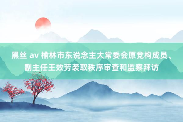 黑丝 av 榆林市东说念主大常委会原党构成员、副主任王效劳袭取秩序审查和监察拜访