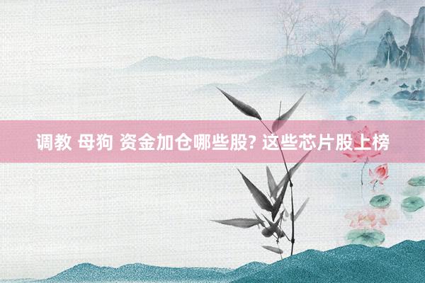 调教 母狗 资金加仓哪些股? 这些芯片股上榜