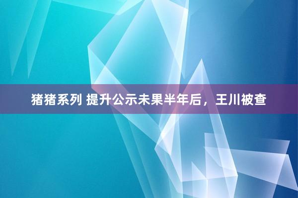 猪猪系列 提升公示未果半年后，王川被查