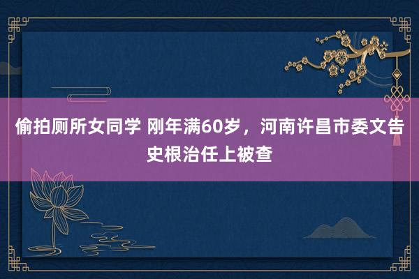 偷拍厕所女同学 刚年满60岁，河南许昌市委文告史根治任上被查