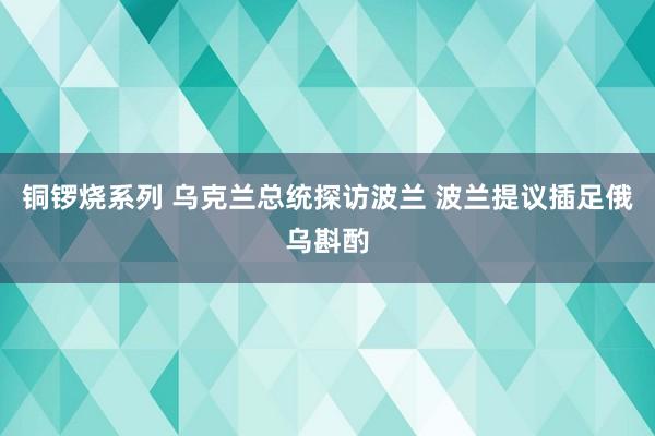 铜锣烧系列 乌克兰总统探访波兰 波兰提议插足俄乌斟酌